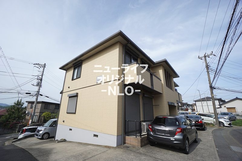 Ｓｏｌｅａｄｏ その他