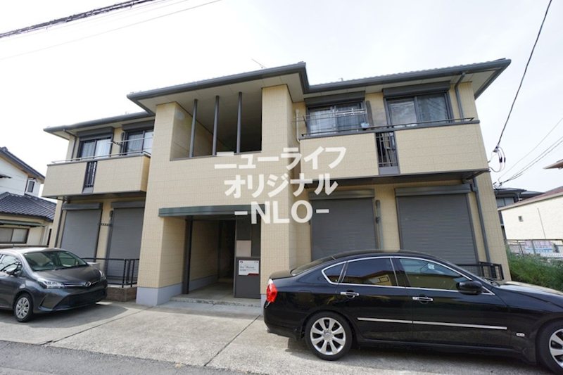 Ｓｏｌｅａｄｏ その他