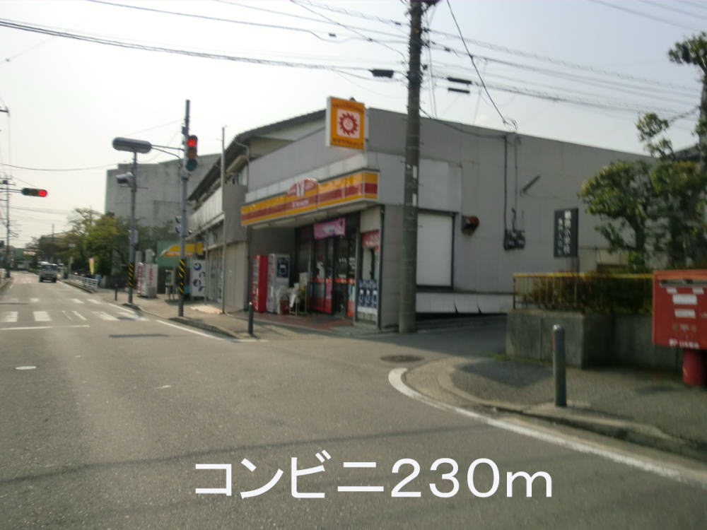 サニー　ヒル　サイド その他
