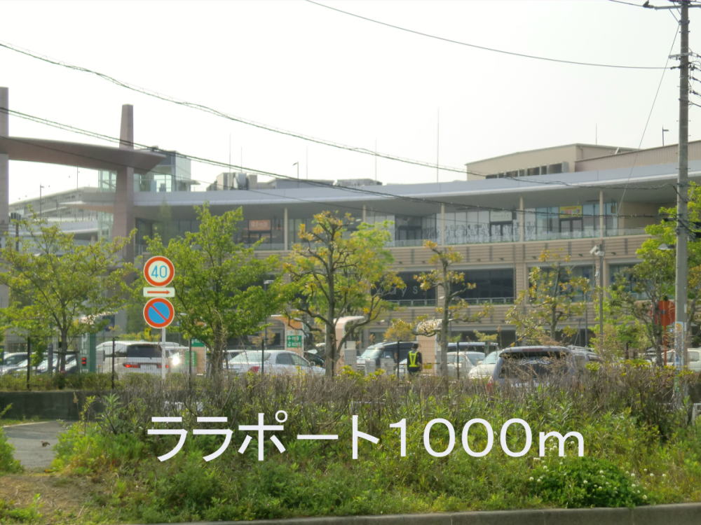サニー　ヒル　サイド その他