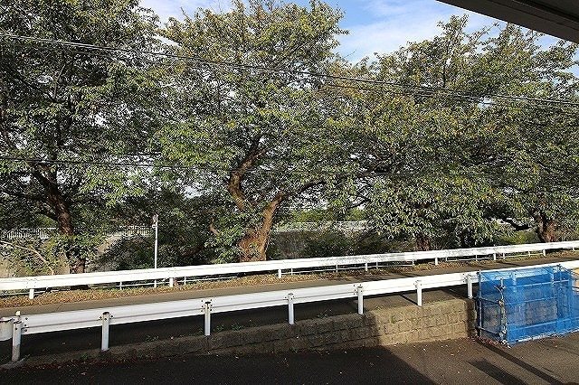 リバーサイドⅡ 眺望