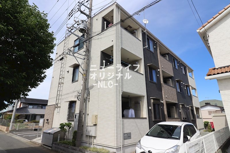 ストロベリー　ヒルズ その他