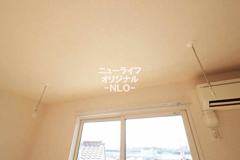 シリウス その他