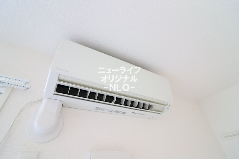 Sｏｌｅｉｌ その他
