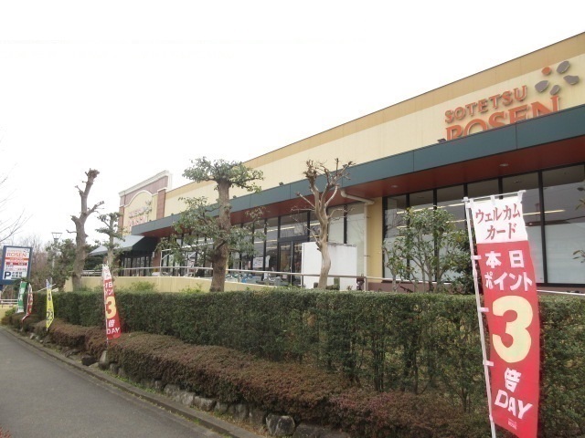Ｒｏｓｅ　ｏｆ　Ｓｈａｒｏｎ その他
