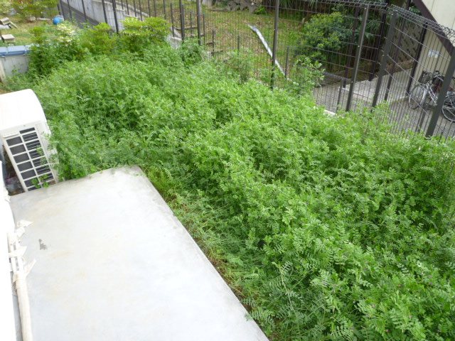 ベルタパルコC ベランダ