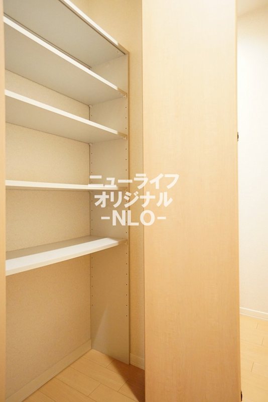 Ｏｒｃｈｉｄｓ その他