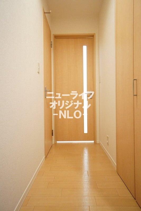 Ｏｒｃｈｉｄｓ その他
