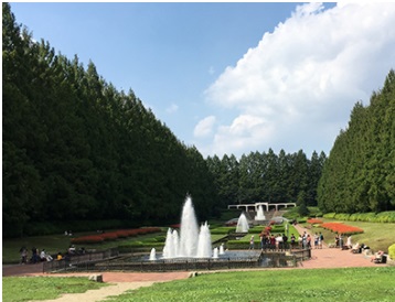 シティハイム　アオバハイツ 公園