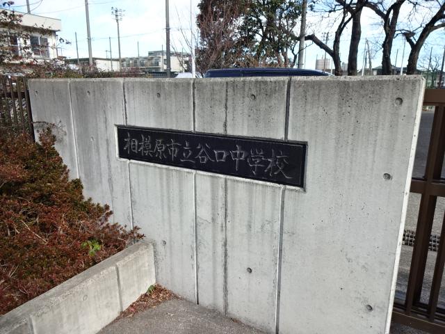 ラピスラズリ その他