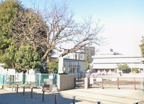ラピスラズリ 小学校