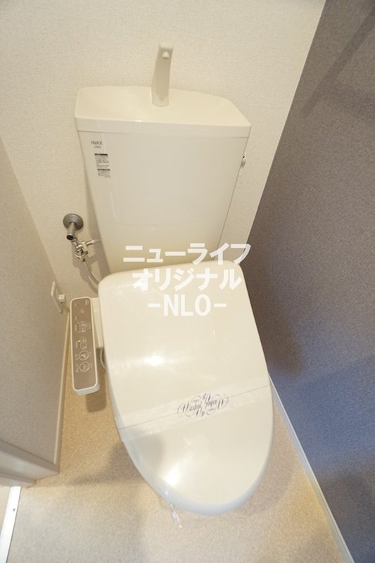 ラッコルタ その他