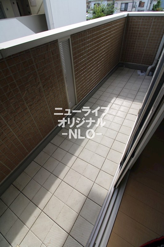 アルスノーヴァⅡ その他