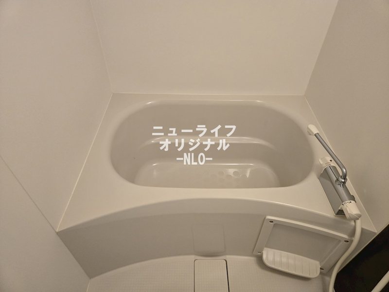 リブリ・プモリⅡ その他
