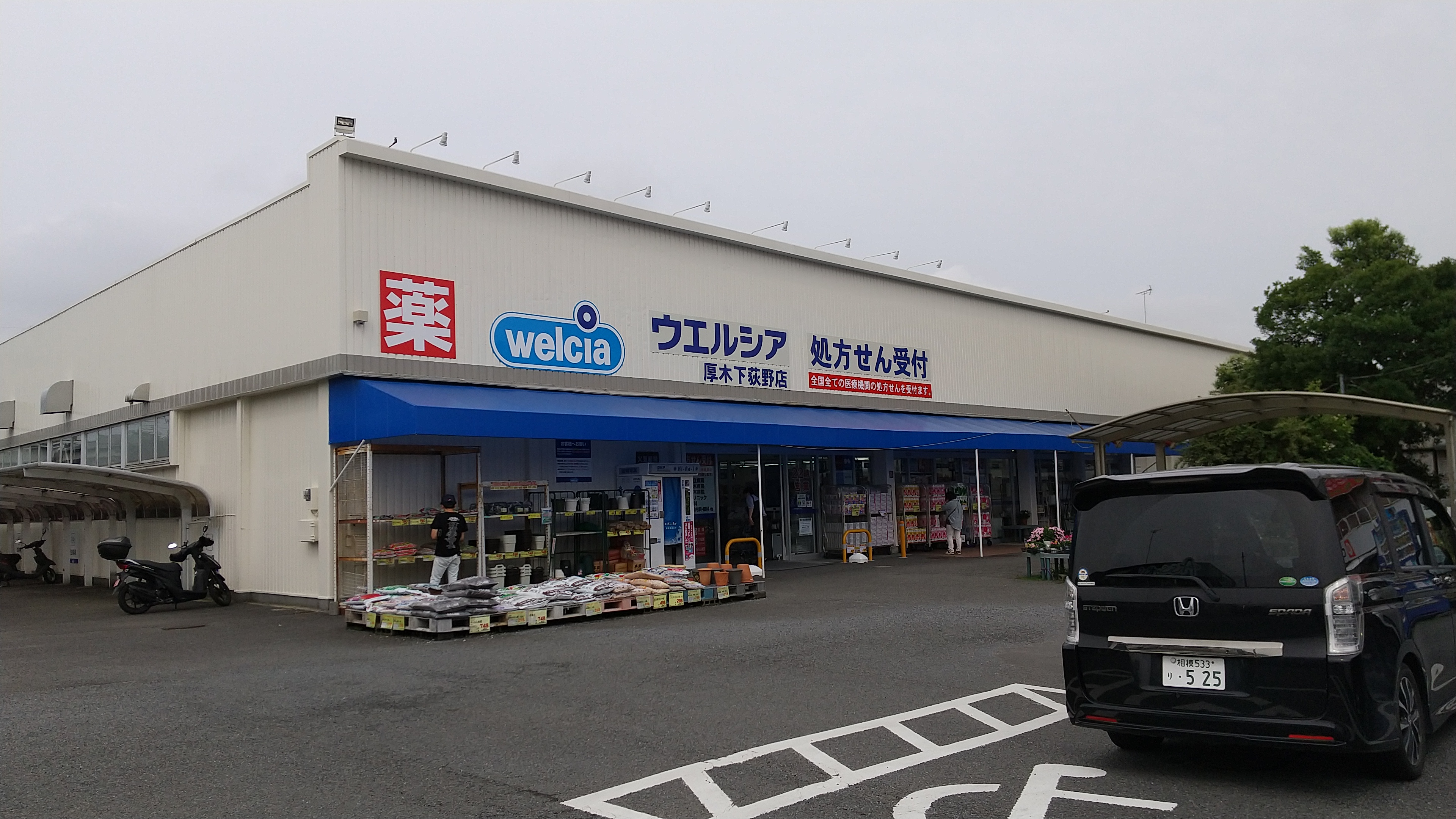 アークグレイスⅢ ドラッグストア