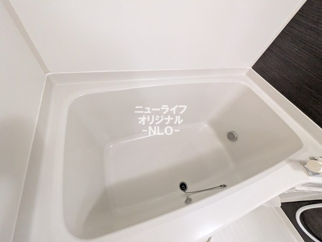 ＳＥＪＯＵＲ　Ａｉｋｏｕ その他