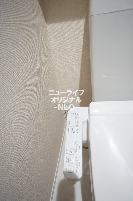 フェリーチェ その他