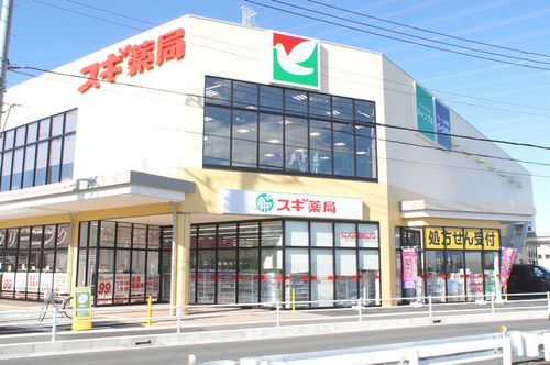 サムスィング成瀬 ドラッグストア