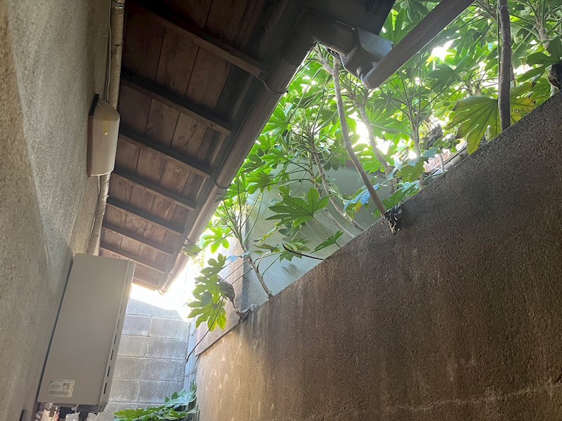 紫竹西桃ノ本町貸家 その他