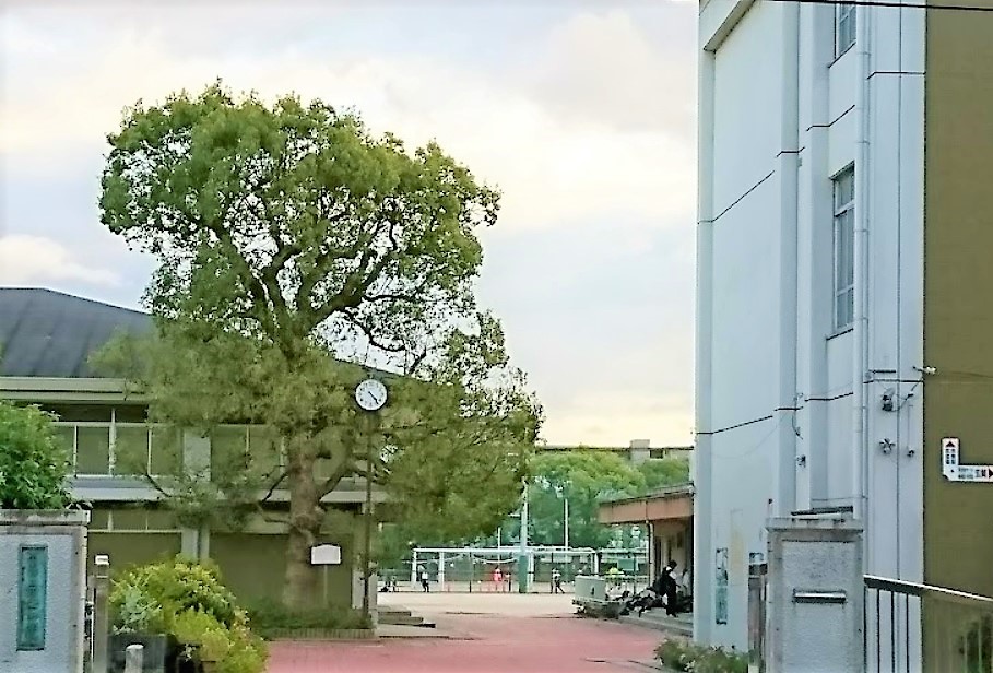 Plume葛野三条 中学校