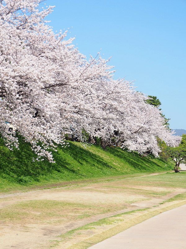 西賀茂北山ノ森町貸家（6-5） その他
