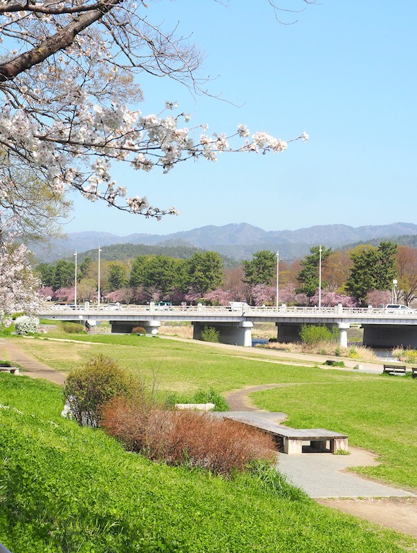 西賀茂北山ノ森町貸家（6-5） その他