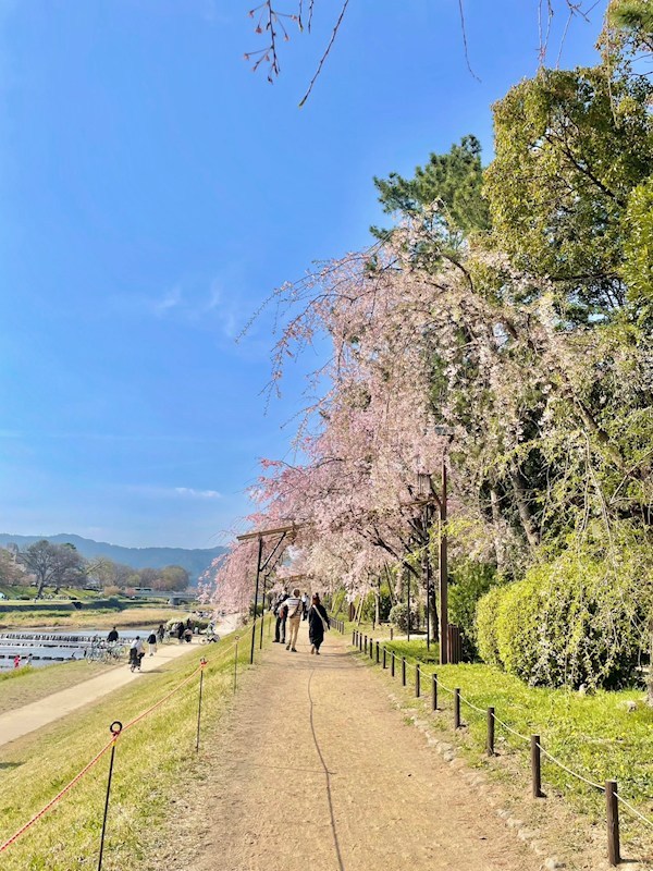 西賀茂北山ノ森町貸家（6-5） その他