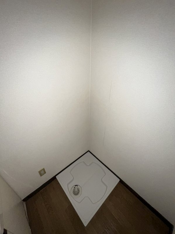 レイ前田 その他
