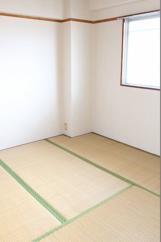 レイ前田 その他