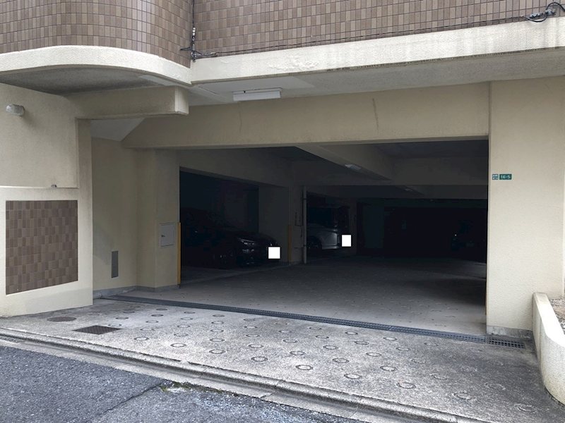オークランド桜通り 駐車場
