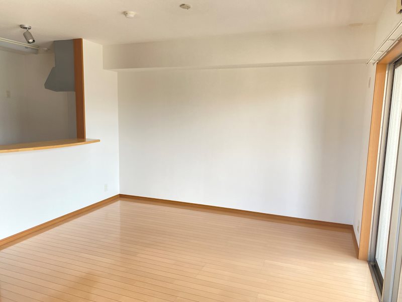 医生ヶ丘ヴァレンシア リビング