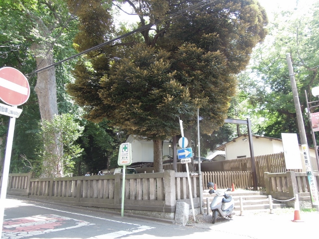 バージュアル浦和ウエスト 公園