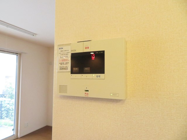 Dandelion　A その他