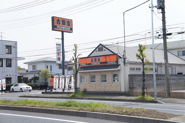 カーサ・ヴェルデ その他