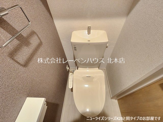 ラナンキュラス トイレ