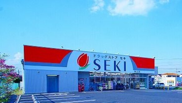 ラナンキュラス ドラッグストア