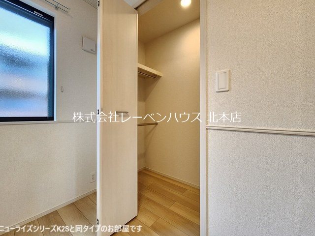 ラナンキュラス 収納