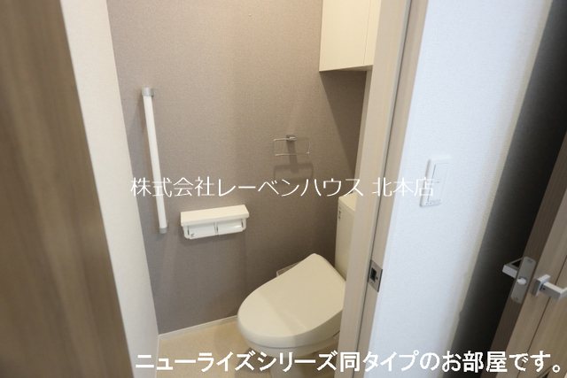ラナンキュラス トイレ