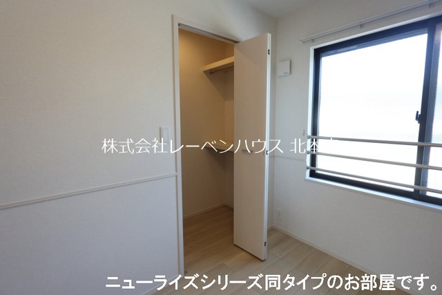 ラナンキュラス 収納