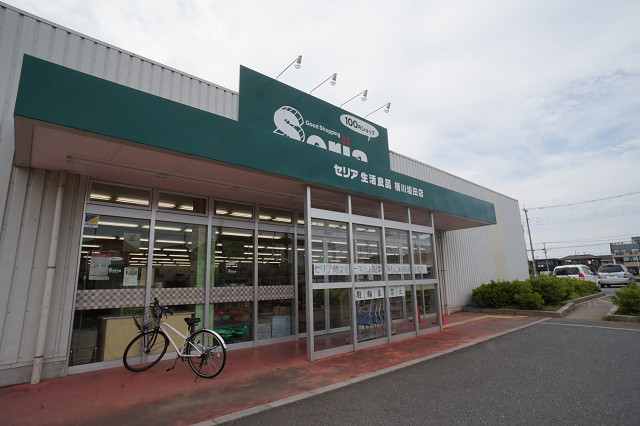 スプリングウィンドⅠ スーパー