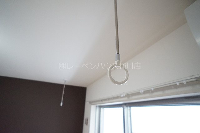 アークツルス その他