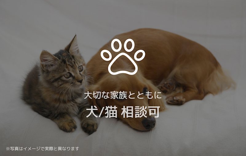 ルミナス・エイル その他