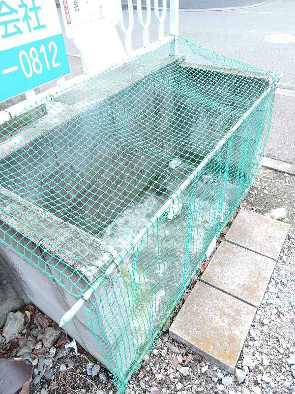 ハイツアキヤマ  その他12