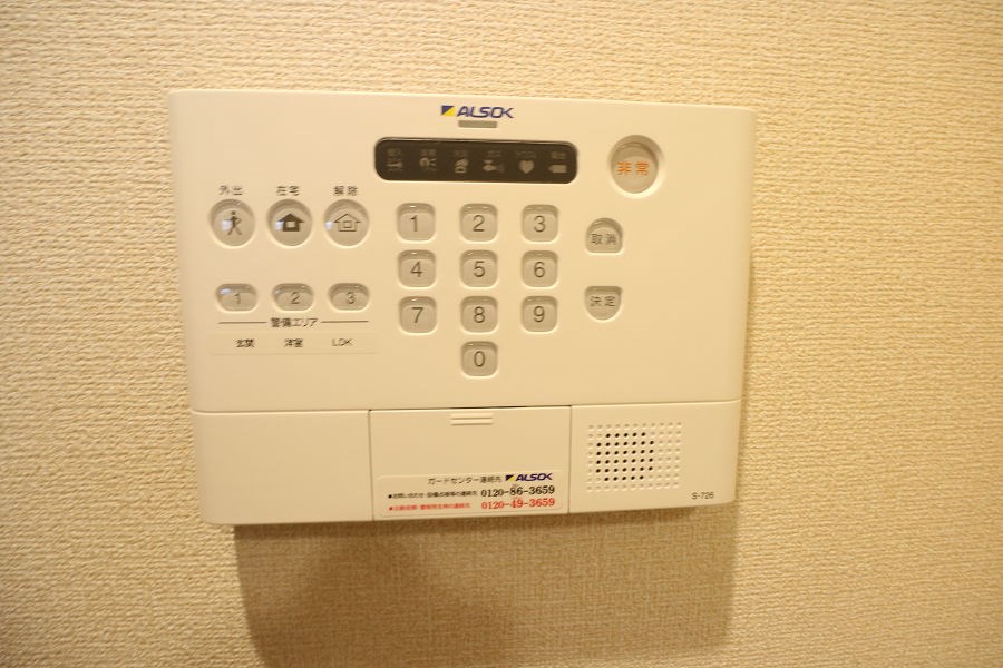 Carpe lux その他8