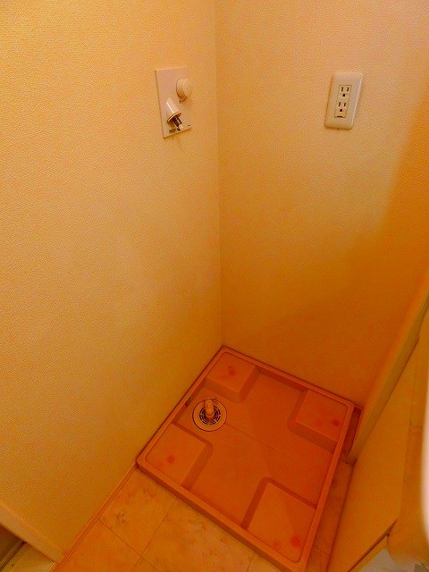 グレイスチェリー その他10