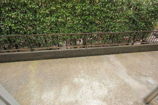 &#12505;&#12521;&#12531;&#12480;