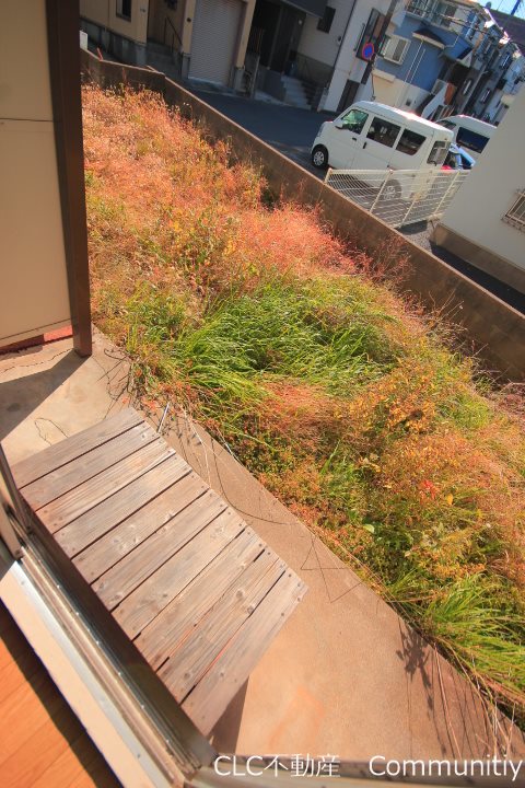 &#12507;&#12527;&#12452;&#12488;&#12503;&#12521;&#12470; &#12505;&#12521;&#12531;&#12480;