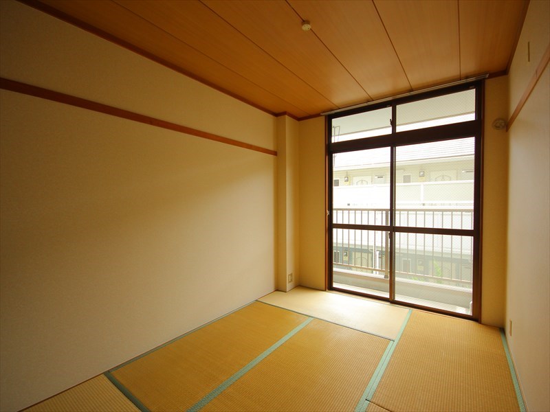 その他11