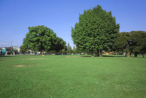 カーサ　デル　ピーノ 周辺画像3