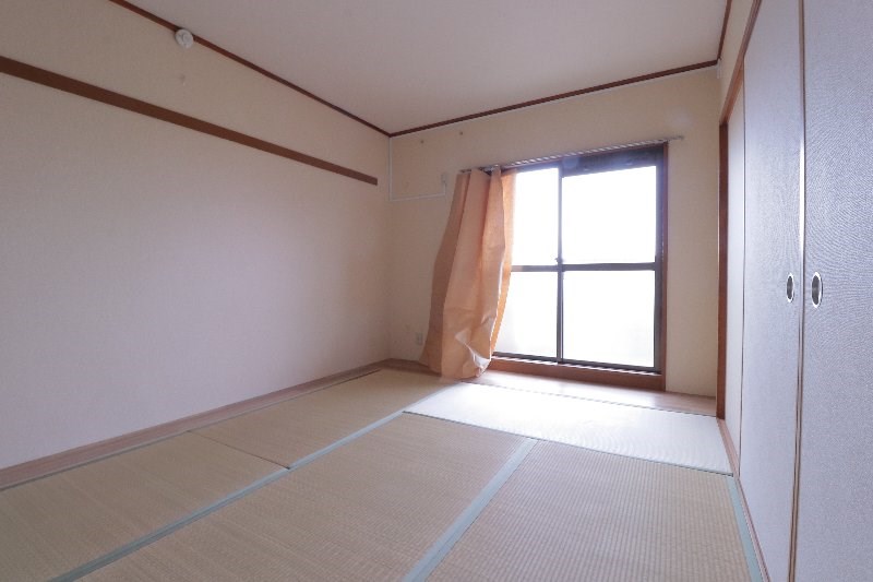 その他11